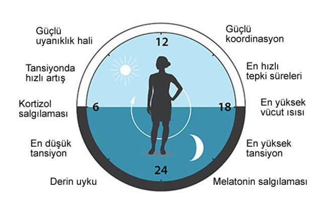 vucudun-biyolojik-saati-abd-bilim-nobel-2.jpg