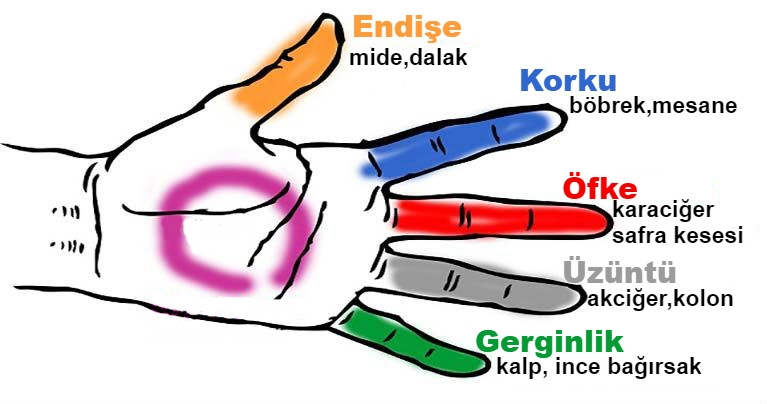 Sadece Parmaklarınızı Kullanarak 5 Dakikada Yapacağınız Bu Egzersiz Enerji Seviyenizi Düzenleyecek