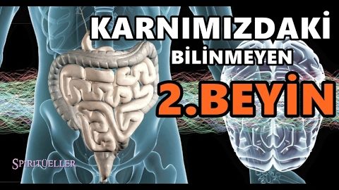 İKİNCİ BEYNİN BİLİNMEYEN GERÇEKLERİ