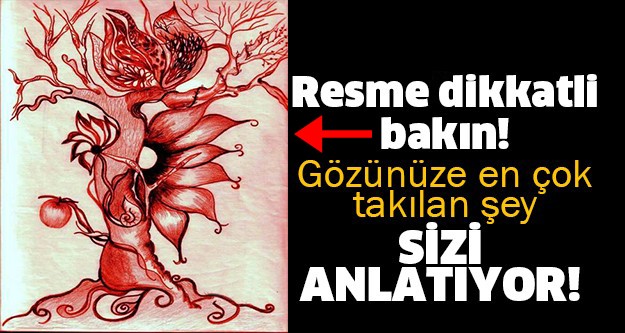 Resme Dikkatle Bakın Gözünüze En Çok Takılan Şey Sizi Anlatıyor