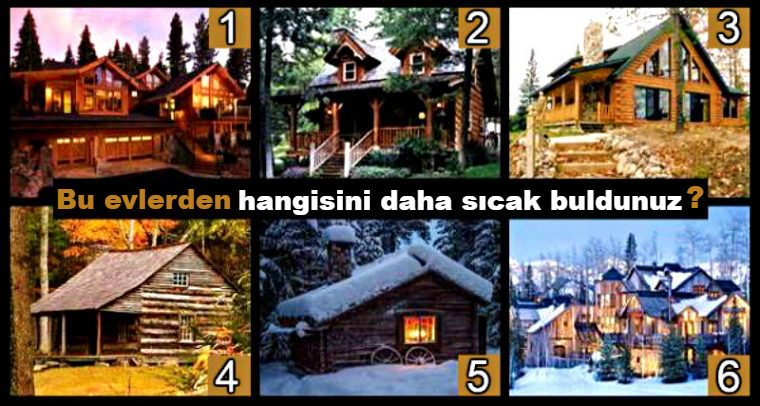 bu-evlerden-hangisini-daha-sicak-buldunuz-test-filoji-1.jpg