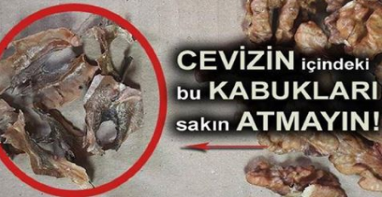 Cevizin İçinden Çıkan Kabukların İnanılmaz Faydaları…