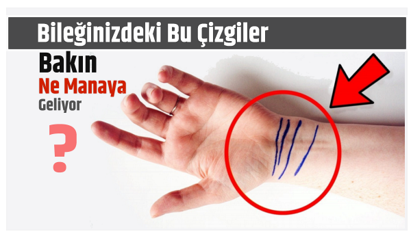 Bileğinizdeki Bu Çizgiler Bakın Ne Manaya Geliyor