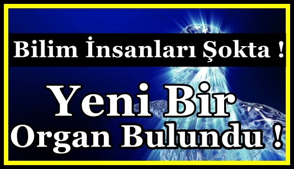 Bilim dünyası şaşkın: Yepyeni Bir Organ Keşfedildi