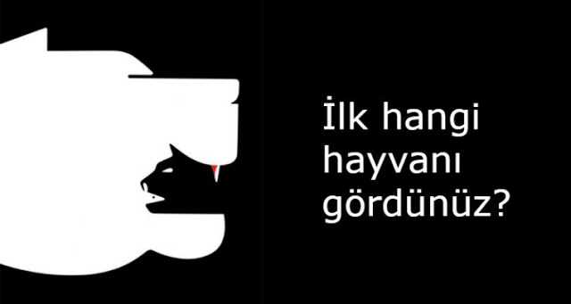 İlk Hangi Hayvanı Gördünüz? Her Hayvanın Farklı Bir Anlamı Var