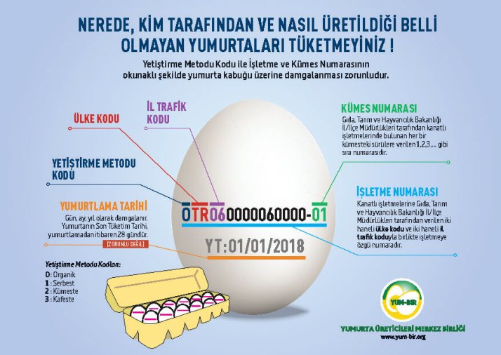 Yumurtanızın Üzerindeki Koddan Hangi İlden Geldiğini Bile Öğrenebileceğinizi Biliyor Muydunuz?