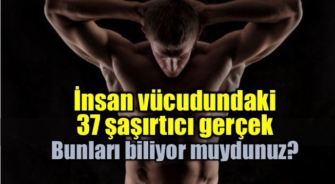 İnsan vücudu hakkında şaşırtıcı gerçekler