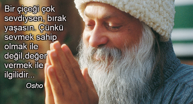 osho-filoji-1-1.jpg