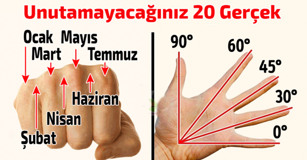 Öğrendiğinizde Ufkunuzu Açacak 20 Şaşırtıcı Gerçek Bilgi