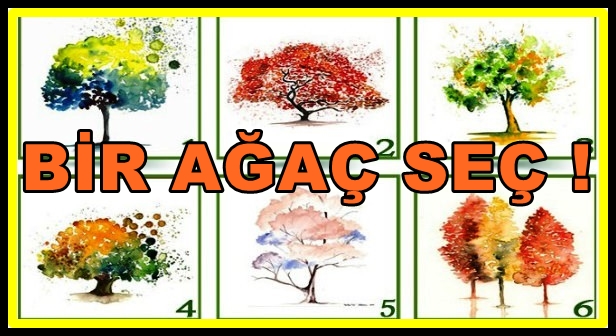 agac-testi-1.jpg