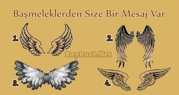 Bir Melek Kanadı Seçin ve Başmeleklerden Size Gelen Mesajın Anlamını İyi Okuyun!!!