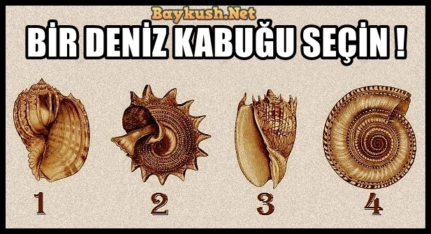 En Derin Sırlarınızı Ortaya Çıkarmak İçin Favori Deniz Kabuğunuzu Seçin