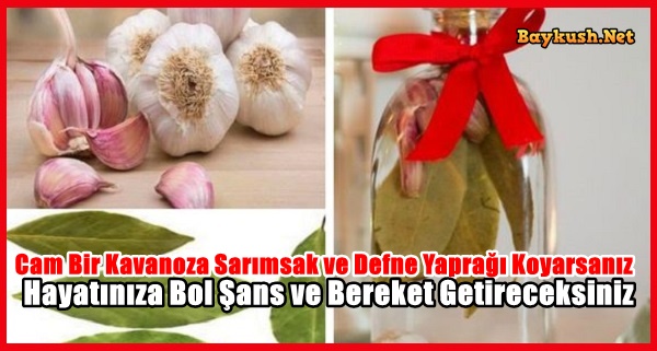 Cam Bir Kavanoza Sarımsak ve Defne Yaprağı Koyarsanız Hayatınıza Bol Şans ve Bereket Getireceksiniz