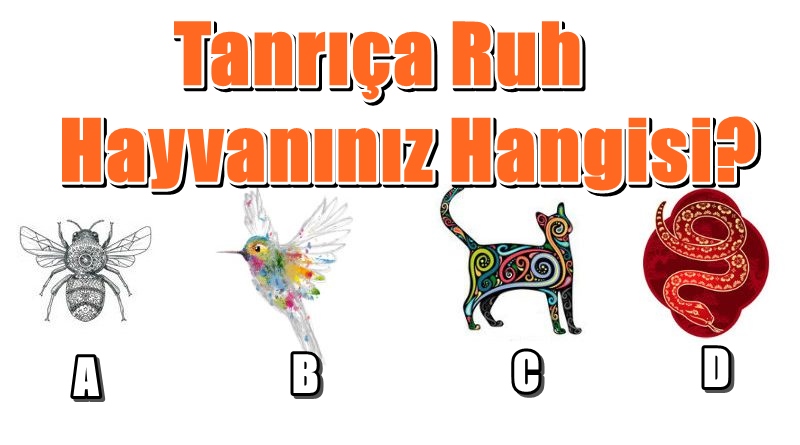 Tanrıça Ruh Hayvanınız Hangisi?