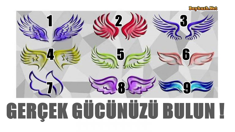 Bir Melek Kanadı Seçin ve Gerçek Gücünüzü Bulun