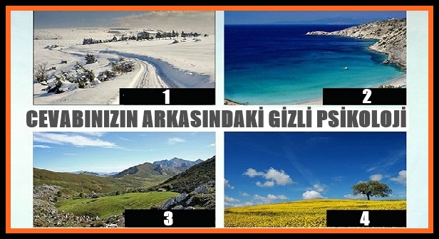 BİR RESİM SEÇİN VE SİZİN HAKKINIZDA NELER OLDUĞUNU GÖRÜN. (CEVABINIZIN ARKASINDAKİ GİZLİ PSİKOLOJİ)