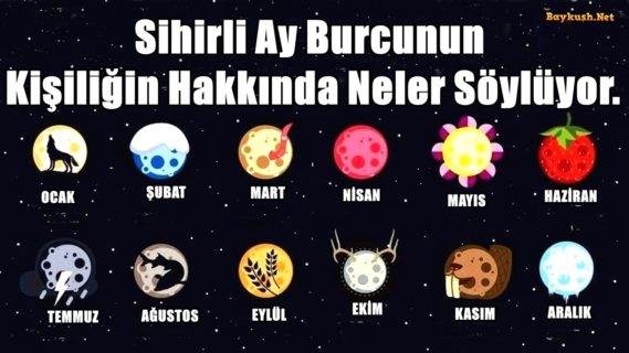 Sihirli Ay Burcunun Kişiliğin Hakkında Neler Söylüyor.