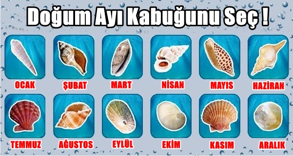 Doğum Ayınızın Kabuğu Kişiliğiniz Hakkında Ne Diyor?