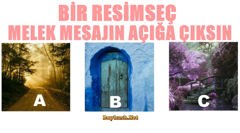 Bir Resim Seçin ve Melek Mesajınızı Açığa Çıkarın