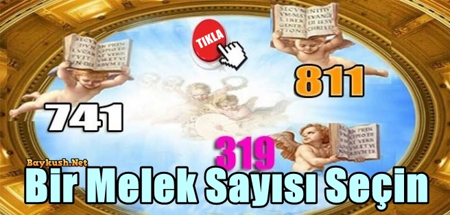 Bir Melek Sayısı Seçin ve Meleklerden Bir Mesaj Alın