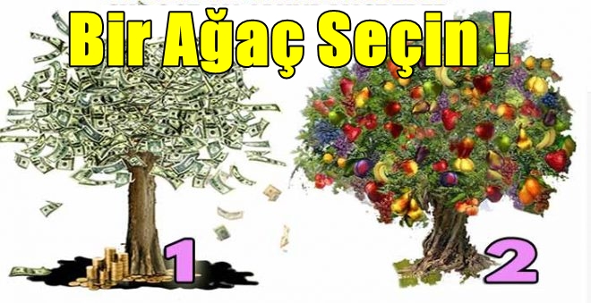 agac-3.jpg