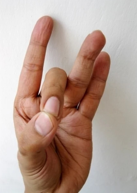 mudra3.jpg