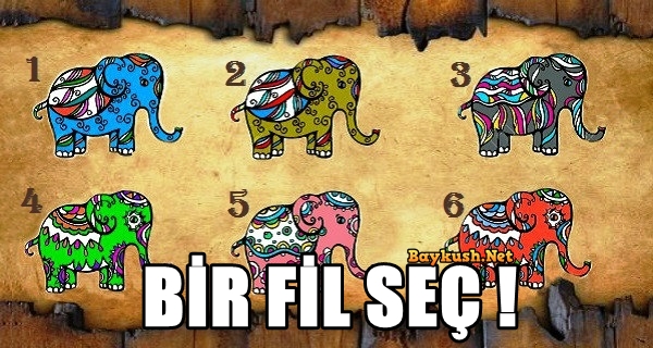 KAPAK-FIL-1.jpg