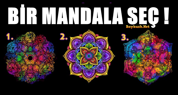 MANDALA-SEC.png