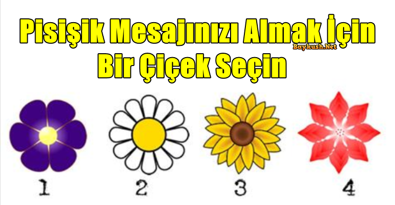 Pisişik Mesajınızı Almak İçin Bir Çiçek Seçin