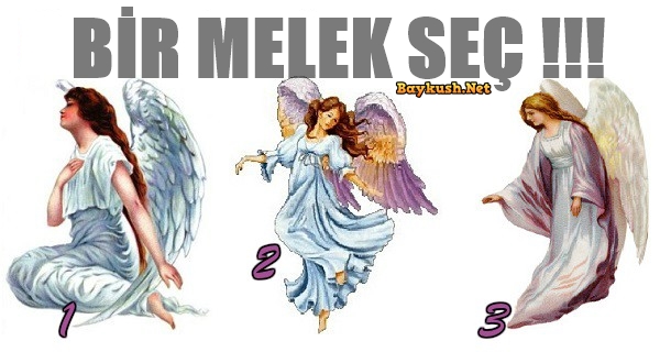 Bir Melek Seç ve Bir Melek Mesajını Al!!!