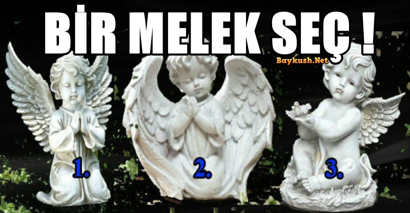 melek-karti-1.jpg