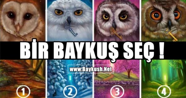 Bir Baykuş Seçin ve Kişiliğinizin Sırlarını Öğrenin