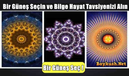 Bir Güneş Seçin ve Bilge Hayat Tavsiyenizi Alın