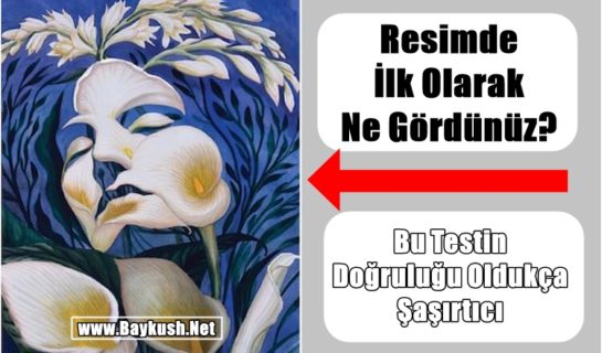 Resimde İlk Olarak Ne Gördünüz? Bu Testin Doğruluğu Oldukça Şaşırtıcı