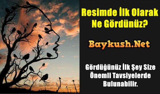 Resimde İlk Olarak Ne Gördünüz? Gördüğünüz İlk Şey Size Önemli Tavsiyelerde Bulunabilir