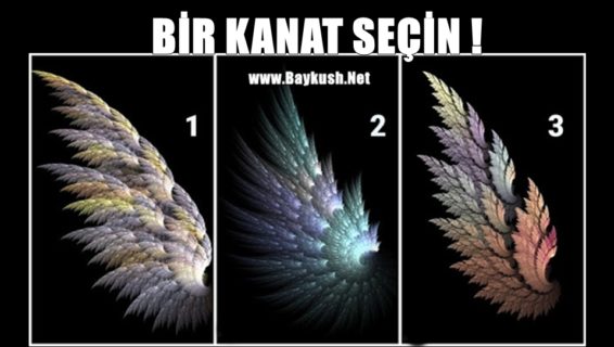 Bir Kanat Seçin ve Karakterinizin Özelliklerini Öğrenin