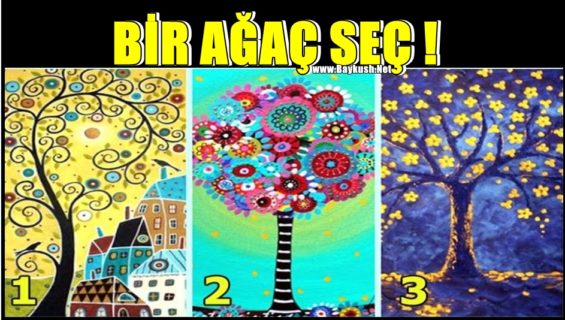 Bir Ağaç Seçin ve Manevi Mesajınızı Alın