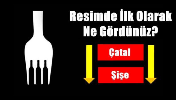 Resime Dikkatlice Bakın İlk Önce Bir Çatal Mı Gördünüz Yoksa Şişeleri Mi Gördünüz