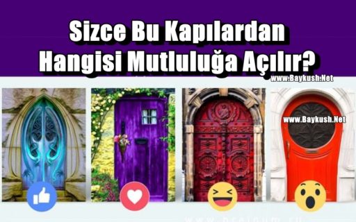 Sizce Bu Kapılardan Hangisi Mutluluğa Açılır