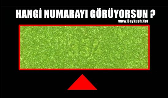 Resimde Hangi Numarayı Görüyorsunuz?