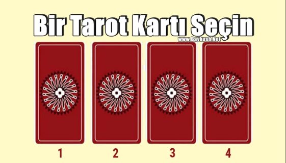 Bir Tarot Kartı Seçin Ve Gelecekte Neler Yapmanız Gerektiğini Öğrenin