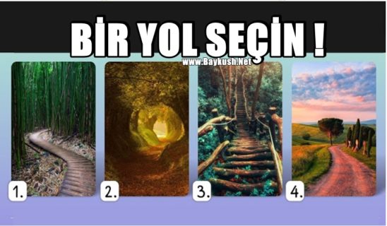 Bir Yol Seçin Ve Bu Yıl Sizi Hangi Değişikliklerin Beklediğini Öğrenin