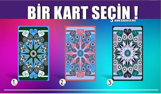 Bir Kart Seçin Ve Ne Gibi Değişiklikler Yapmanız Gerektiğini Öğrenin.