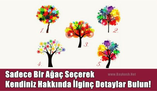 Sadece Bir Ağaç Seçerek Kendiniz Hakkında İlginç Detaylar Bulun!