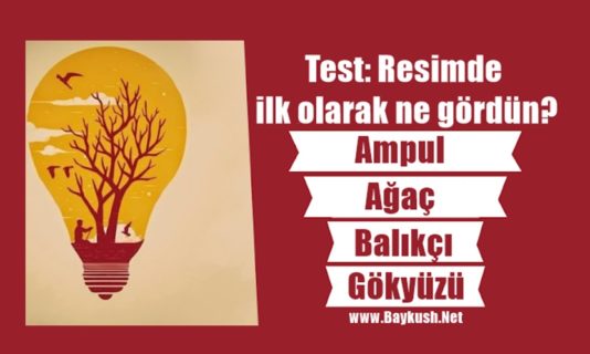 Test: Resimde ilk olarak ne gördün?