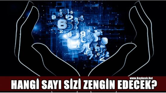 Parasal Sayı: Hangi Numara Sizi Zengin Edecek