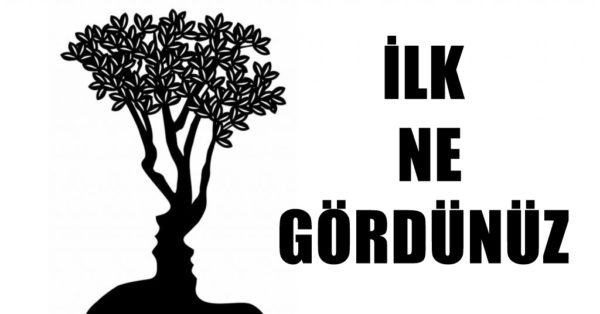 Psikolojik Test: Resimde Gördüğünüz İlk Şey Şu Anda Karşı Karşıya Olduğunuz En Büyük Sorunu Size Söyleyecektir