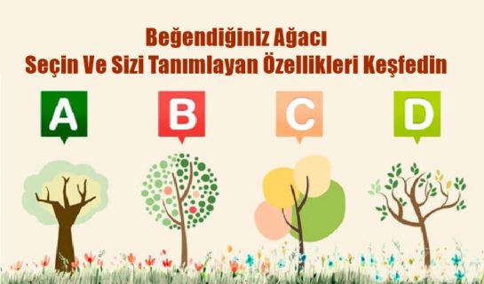 Beğendiğiniz Ağacı Seçin Ve Sizi Tanımlayan Özellikleri Keşfedin