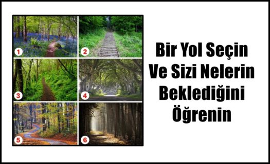 Bir Yol Seçin Ve Sizi Nelerin Beklediğini Öğrenin