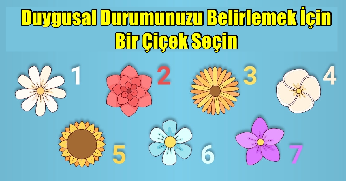 Duygusal Durumunuzu Belirlemek İçin Bir Çiçek Seçin